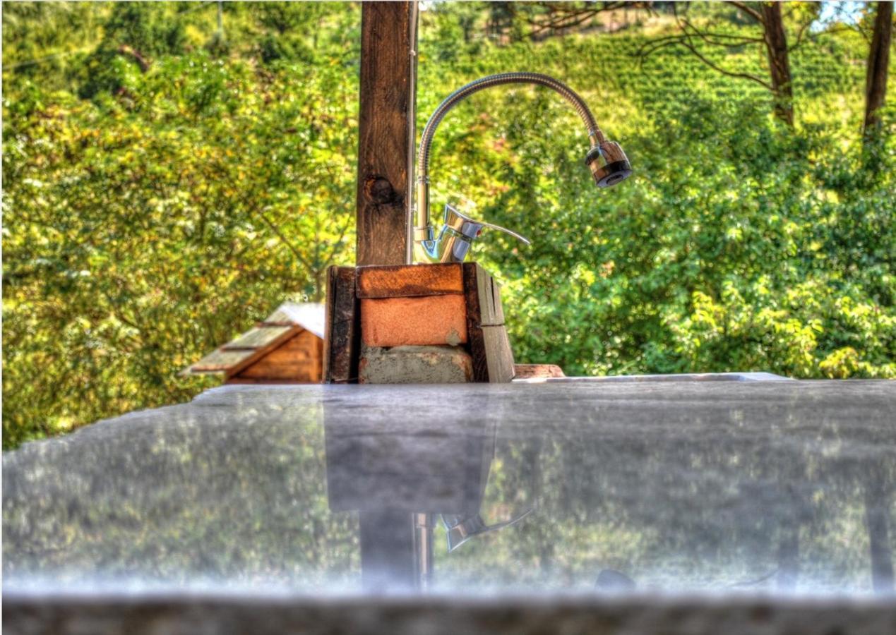 Verdmont Guest House Acqui Terme Bagian luar foto