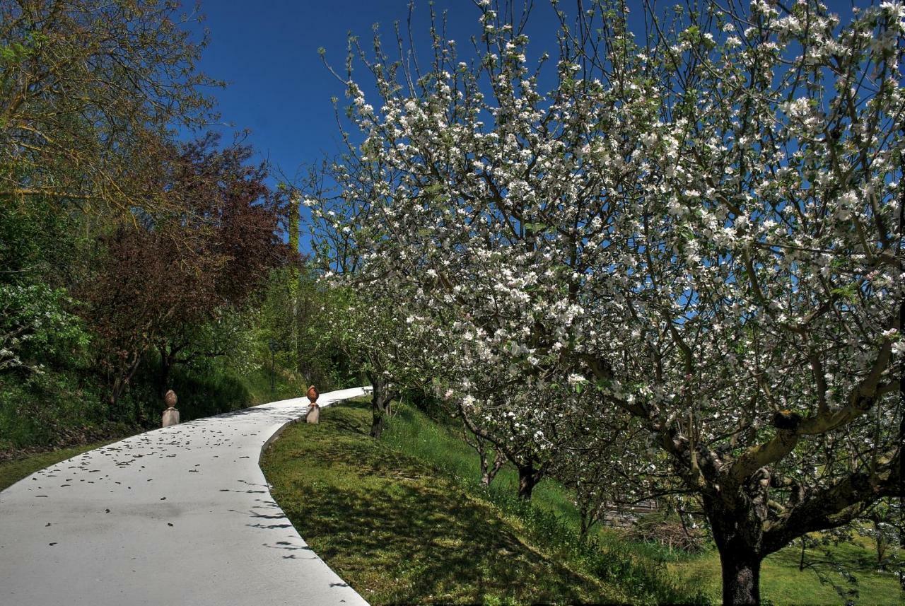 Verdmont Guest House Acqui Terme Bagian luar foto